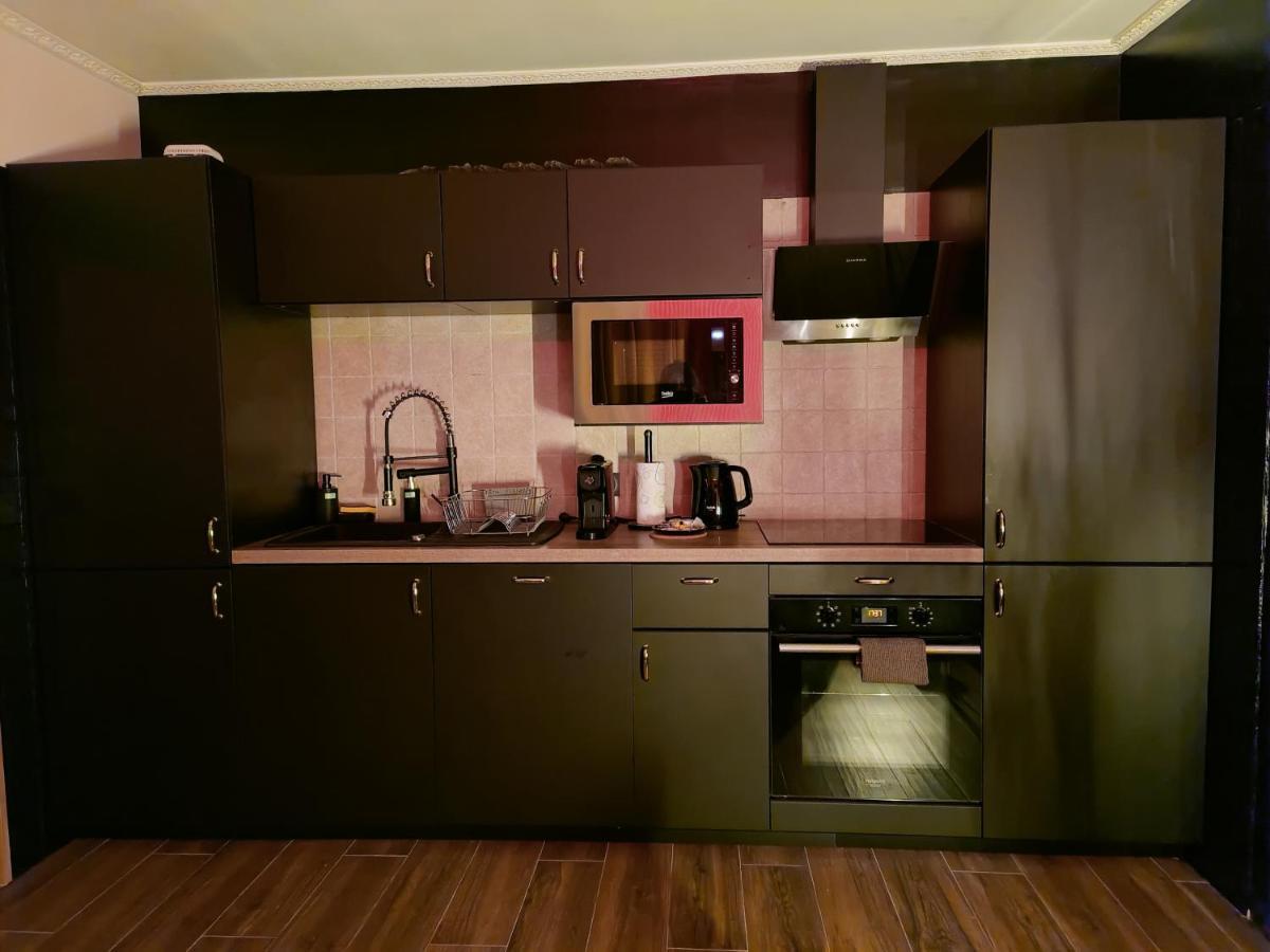 La Loveroom Bdsm De Nice " La Chambre Luxe Des Desirs " Eksteriør bilde